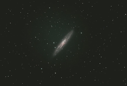 NGC253
