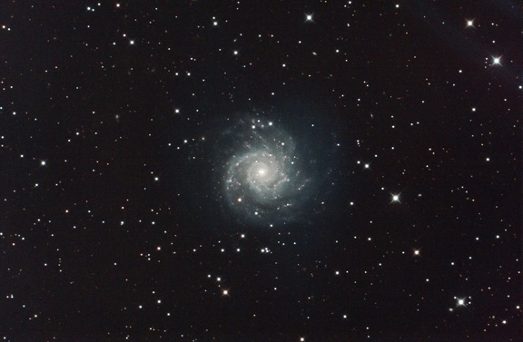 M74