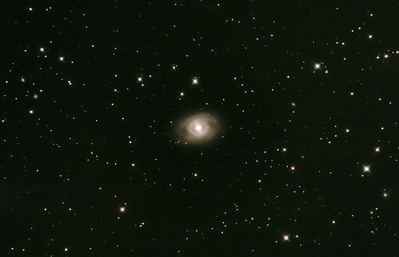 M95