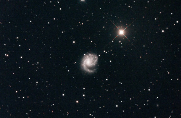 M99