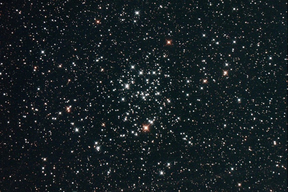 M50