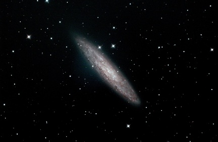 系外銀河NGC253