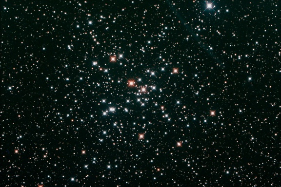 M41